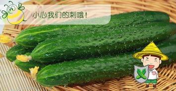 六边吃瓜,揭秘娱乐圈的甜蜜与苦涩