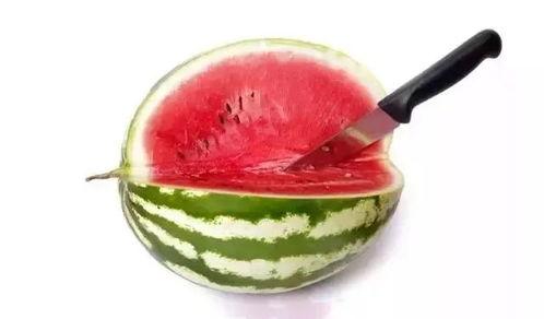 吃瓜属于哪个分类,网络流行语的分类与内涵解析