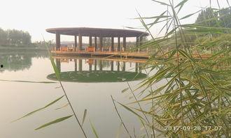 鹤壁公园吃瓜,夏日休闲好去处